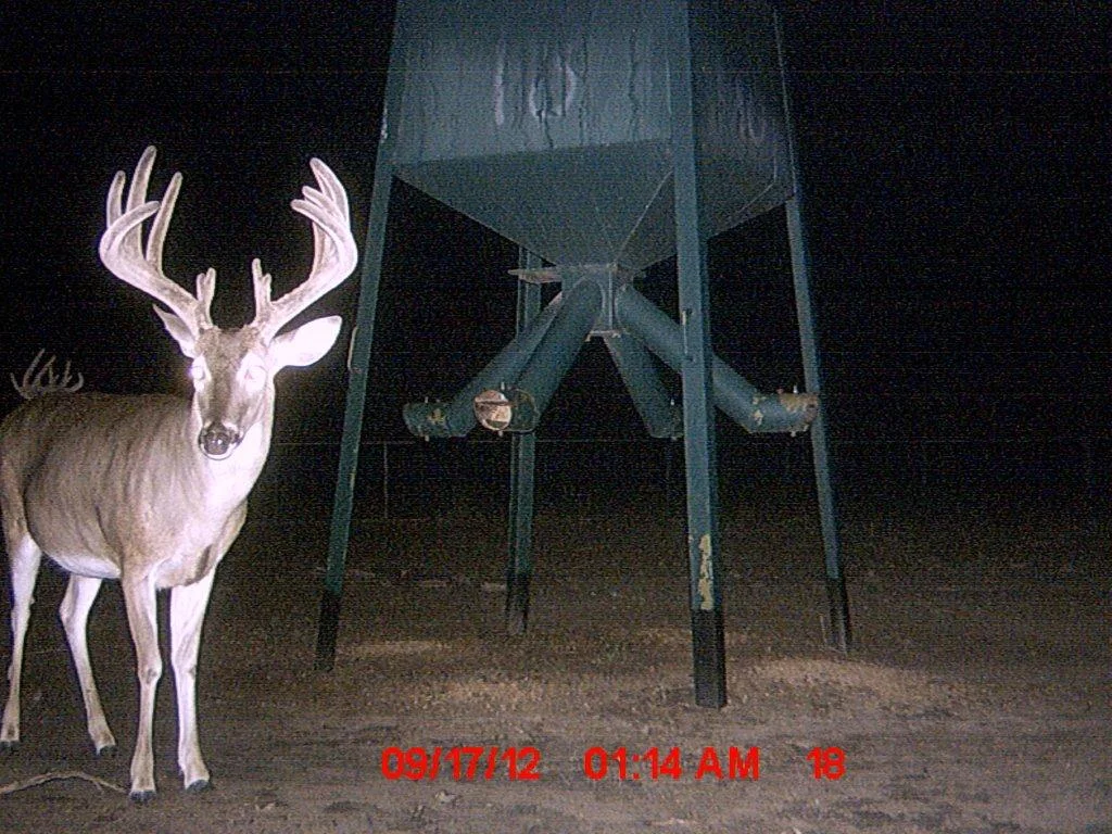 MDGC0251.jpg