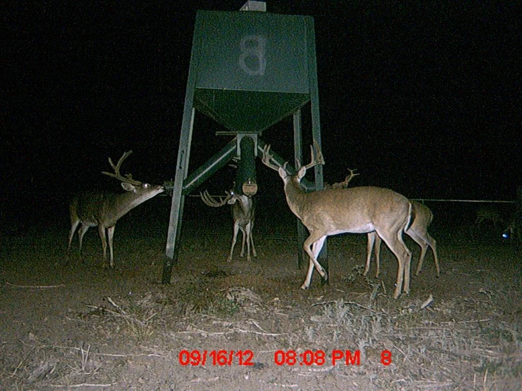 MDGC0248.jpg
