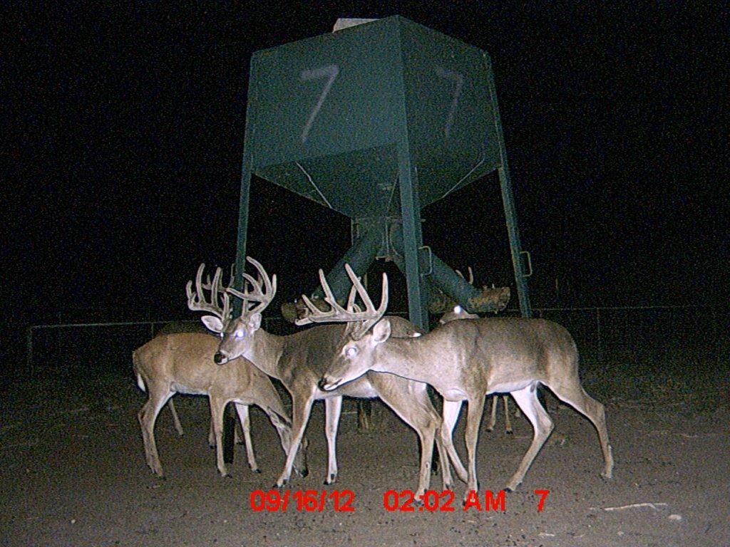 MDGC0276.jpg