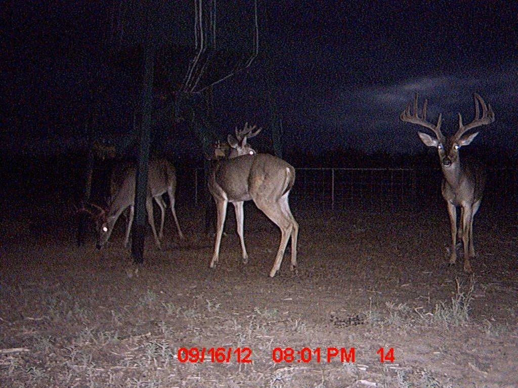 MDGC0261.jpg