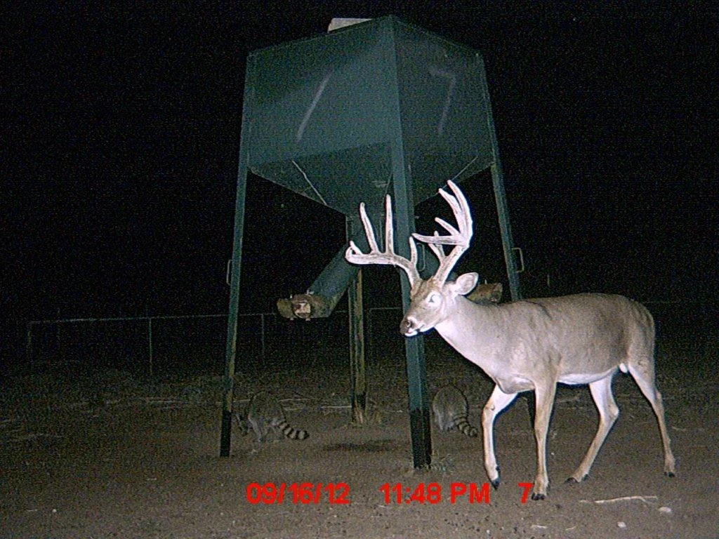 MDGC0384.jpg