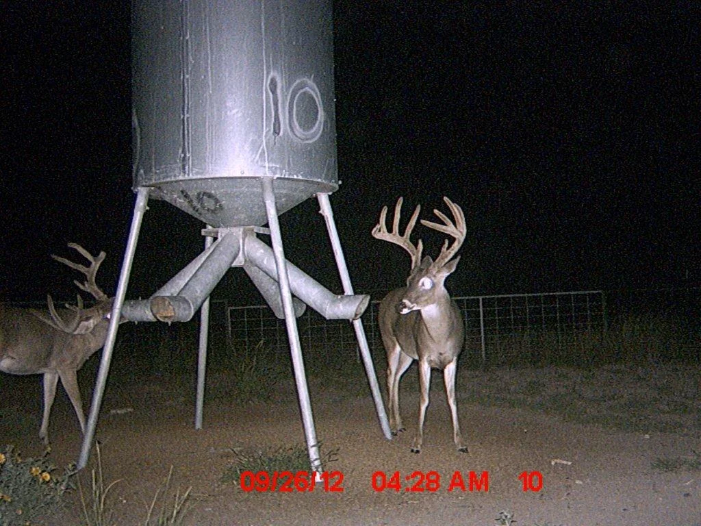 MDGC0400.jpg