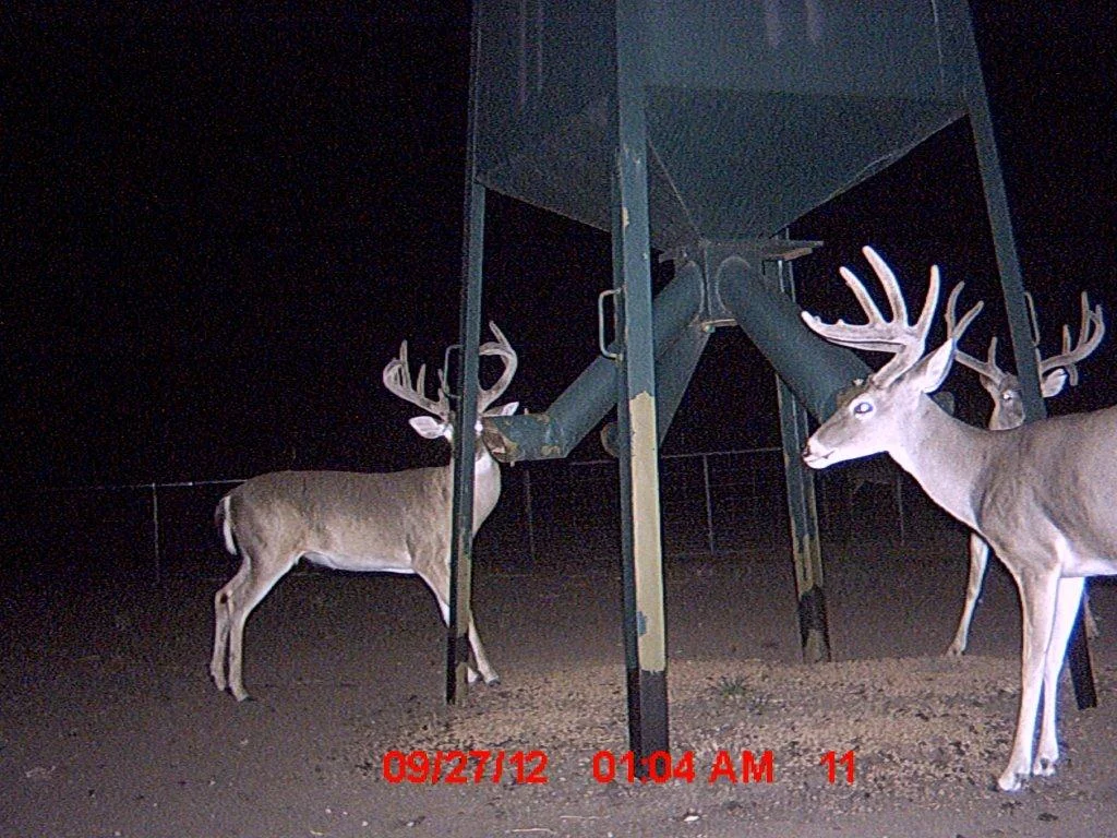 MDGC0538.jpg
