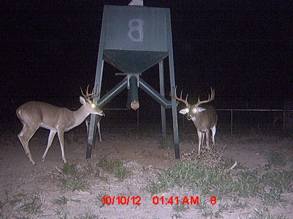 MDGC0579-1639953649.jpg