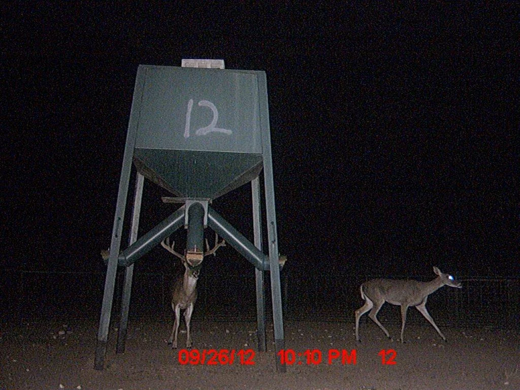 MDGC0671.jpg