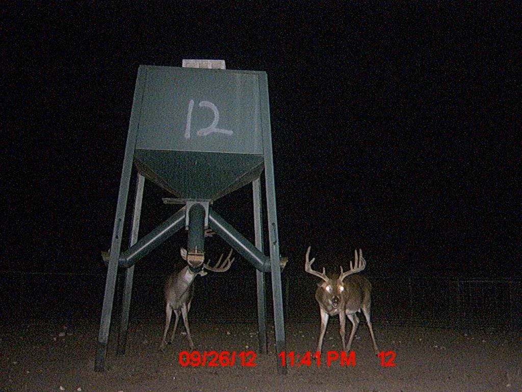 MDGC0674.jpg