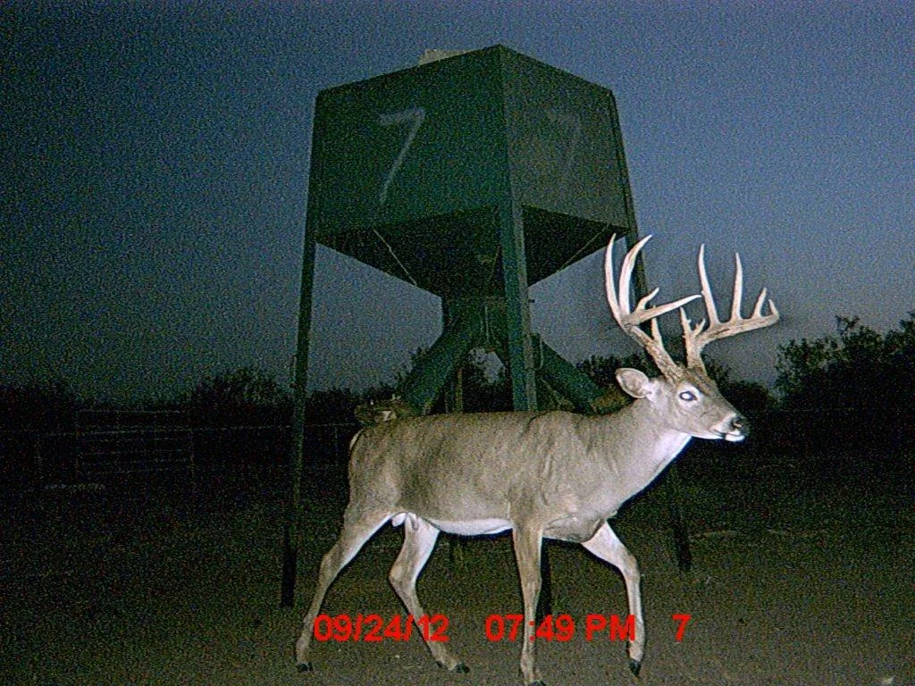 MDGC0922.jpg