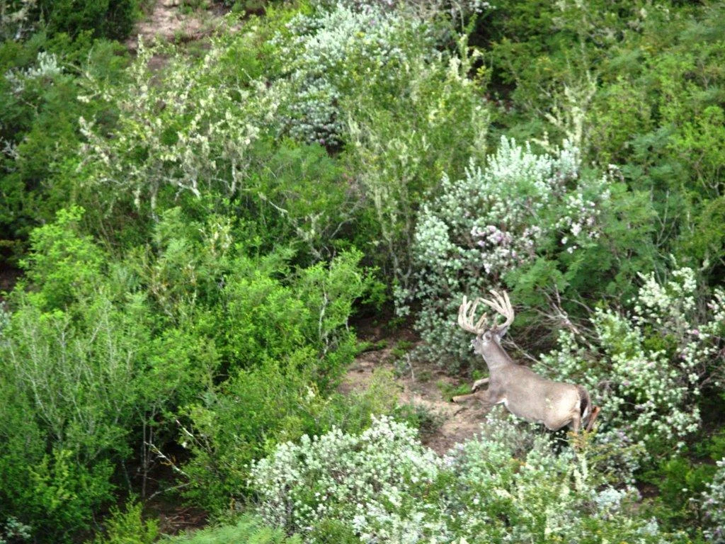P1014317.jpg