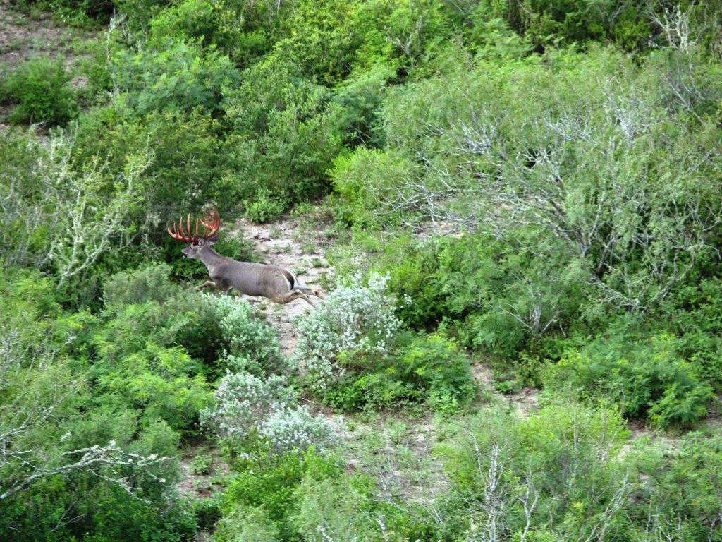 P1014339 - Copy.jpg