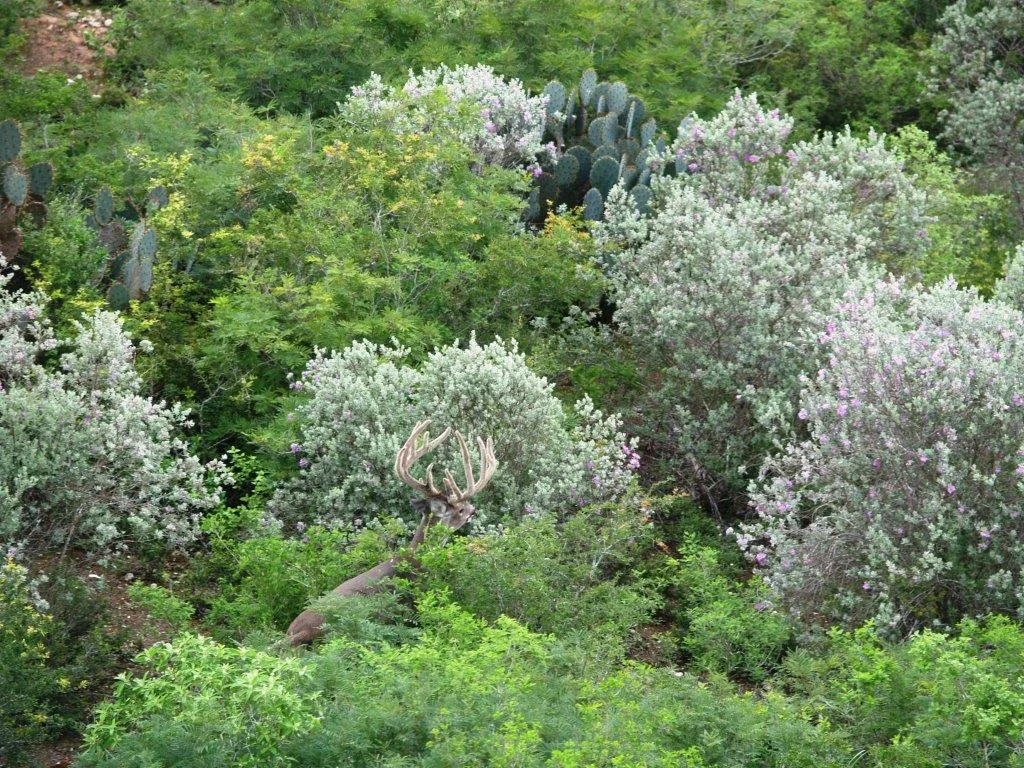 P1014473.jpg