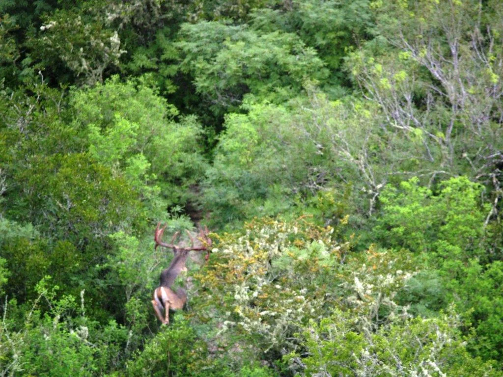 P1014275.jpg