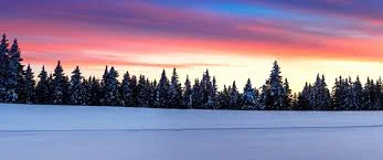 Vinyasa and Live Music: A Retreat for the New Year at Kripalu