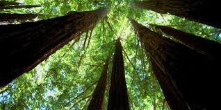 Retreat: Soulful Vinyasa Flow @ 1440