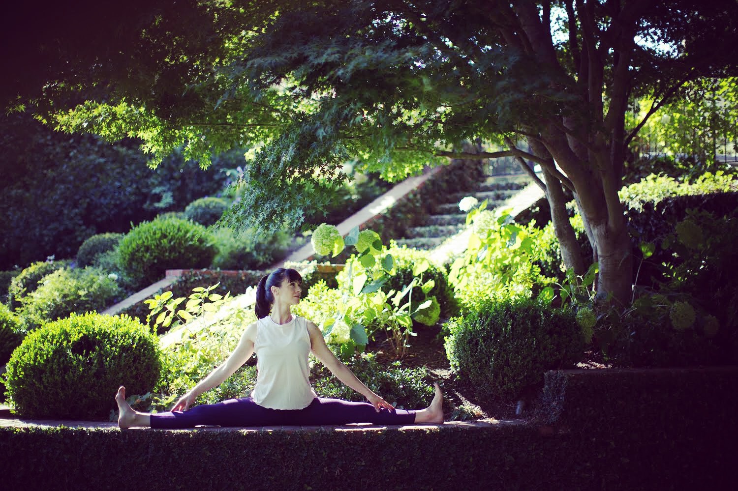 Yoga, Dharma and Meditation Immersion