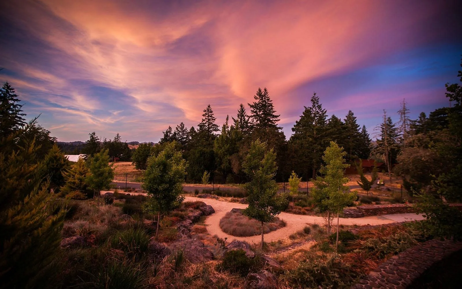 Transformational Vinyasa – A Weekend Retreat