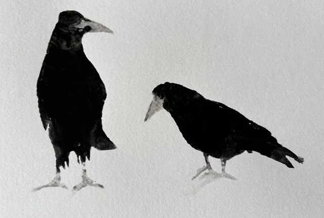 2 Rooks 06.jpeg