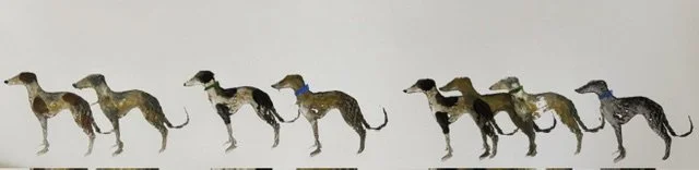 Dog row A.jpeg