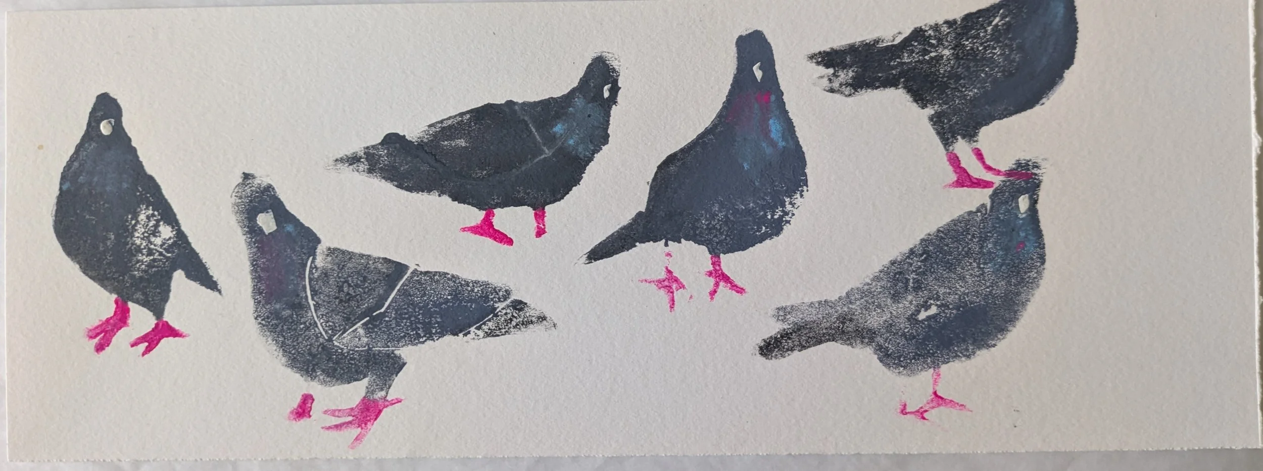 pigeon print.jpg
