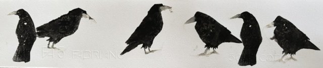 Row of Rooks C.jpeg
