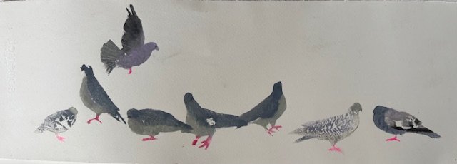 8 Pigeons.jpg