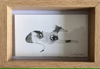 Framed Dog 2.jpeg