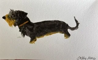 Wire Haired Dachshund Potato Print.jpeg