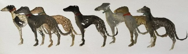 Dog Row C.jpeg