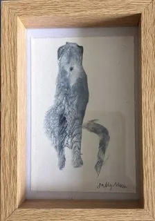 Framed Dog 1.jpeg