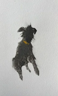 Sitting Hairy Dog Potato Print.jpeg