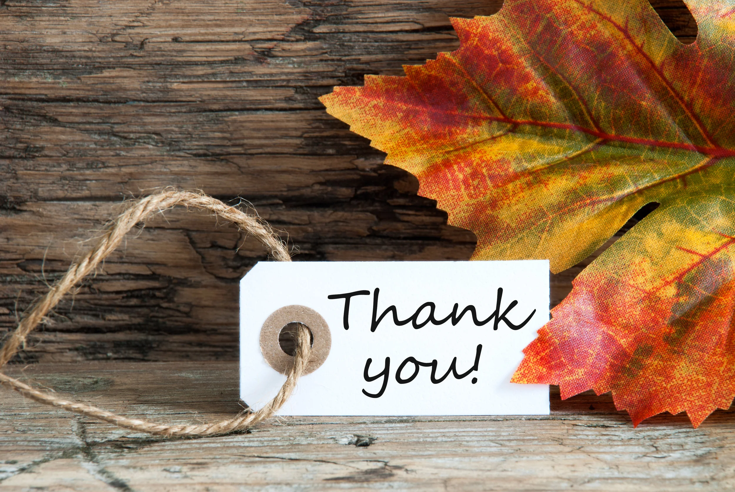 shutterstock_201117365.jpg