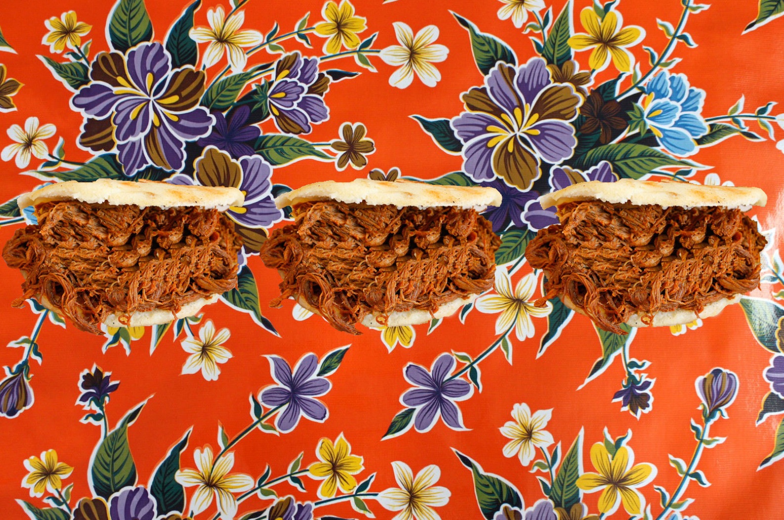 Carolyn Castaño, Latin American Stuffable