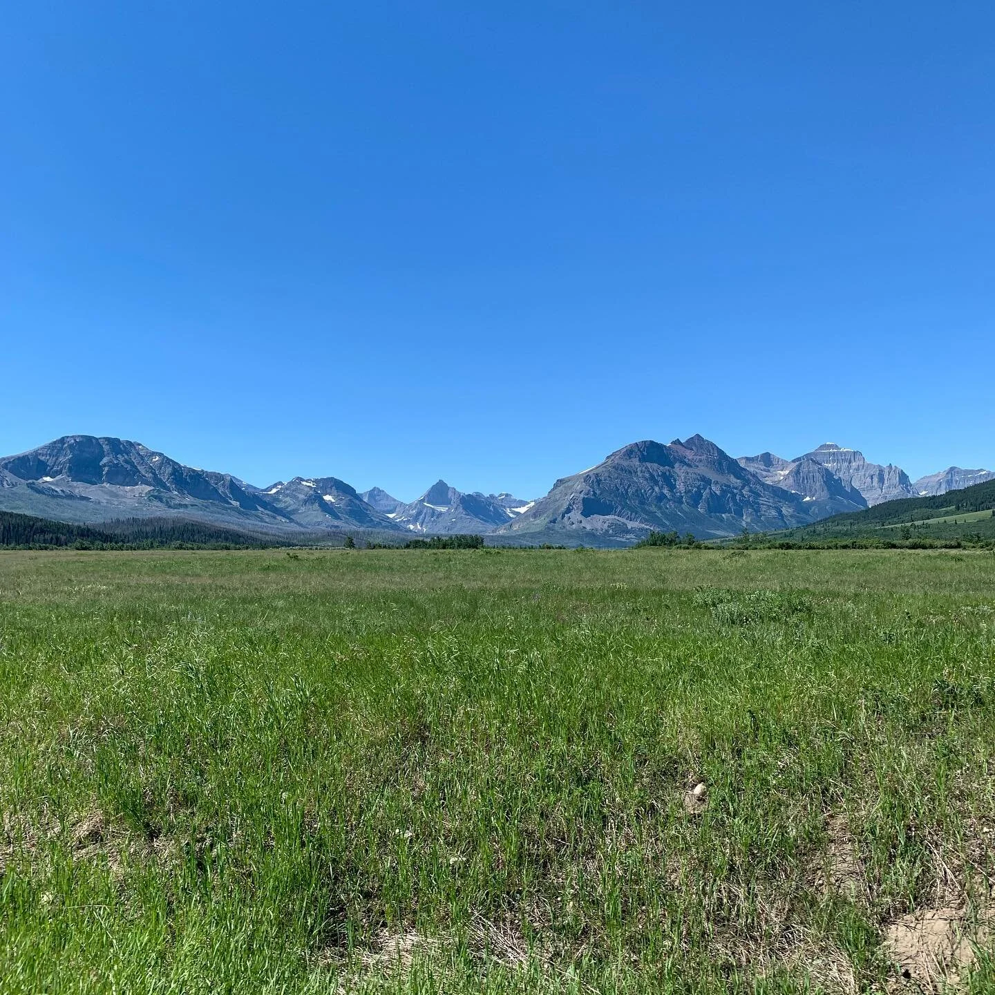 Meet me on the east side. #glaciernationalpark #nationalpark #mountainview #montana