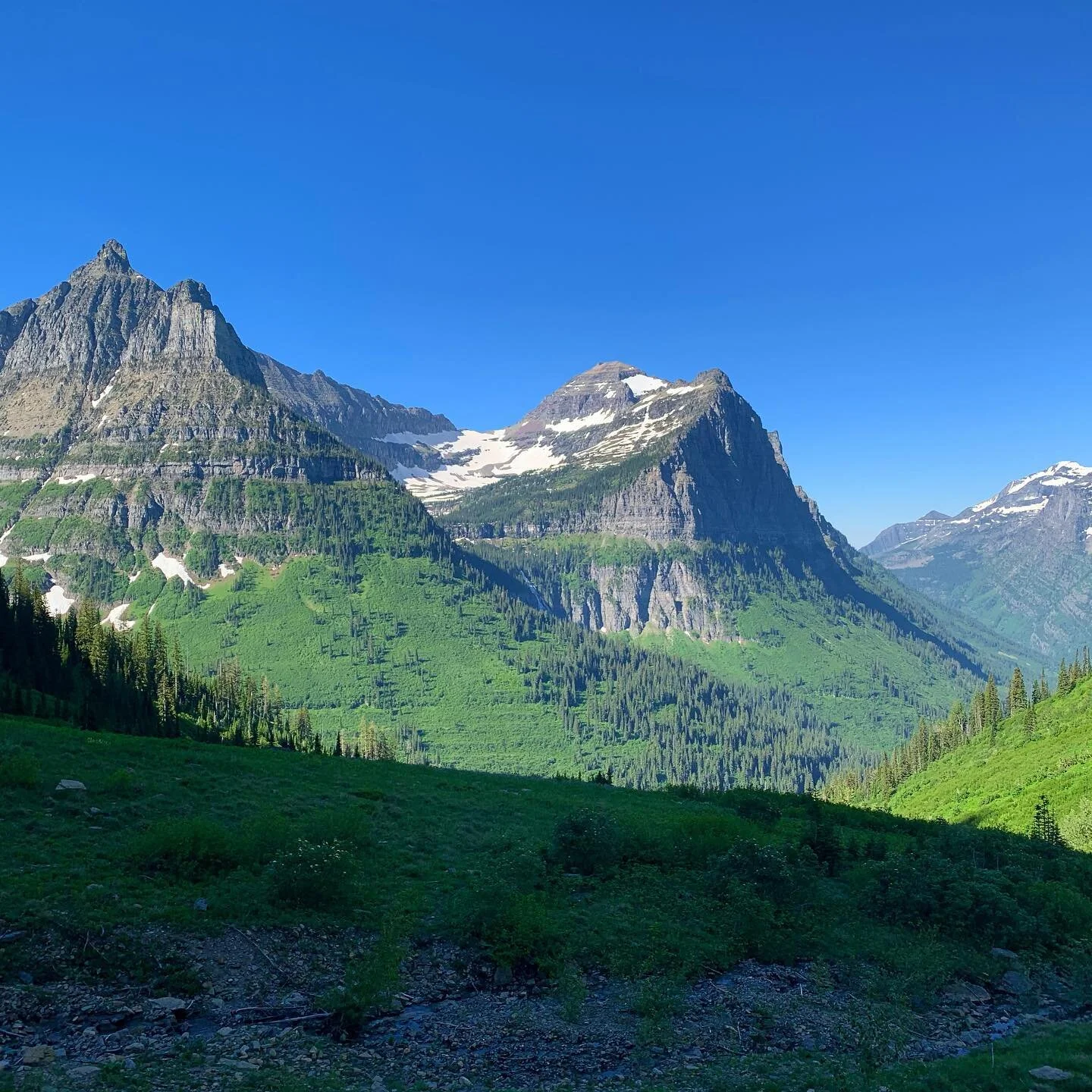 &ldquo;So I'll love you 'til my lungs give out
I ain't lyin'
I'm all your'n and you're all mine&rdquo;
#tylerchilders #glaciernationalpark #montana