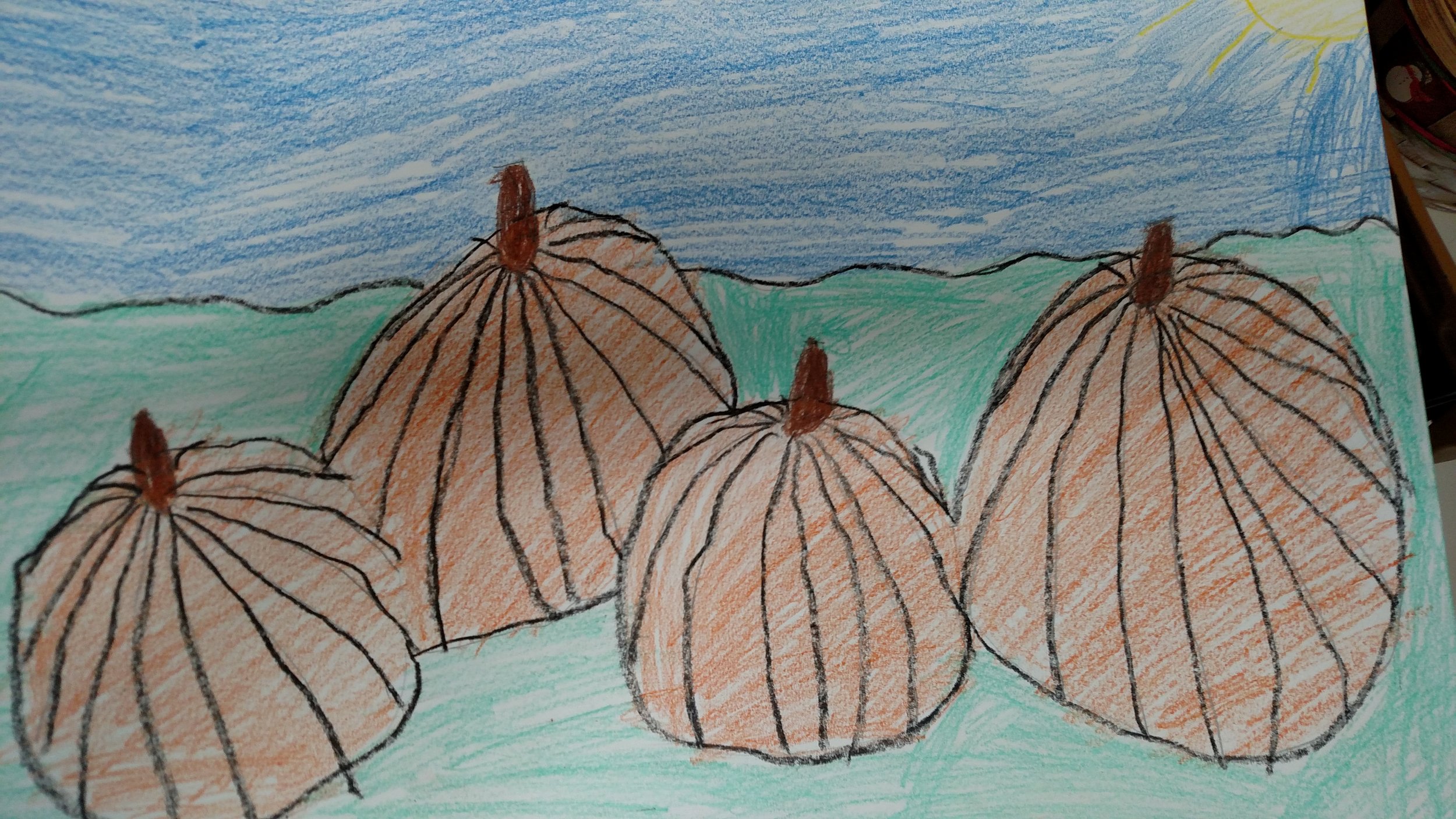 Sam Seidman, Grade 4