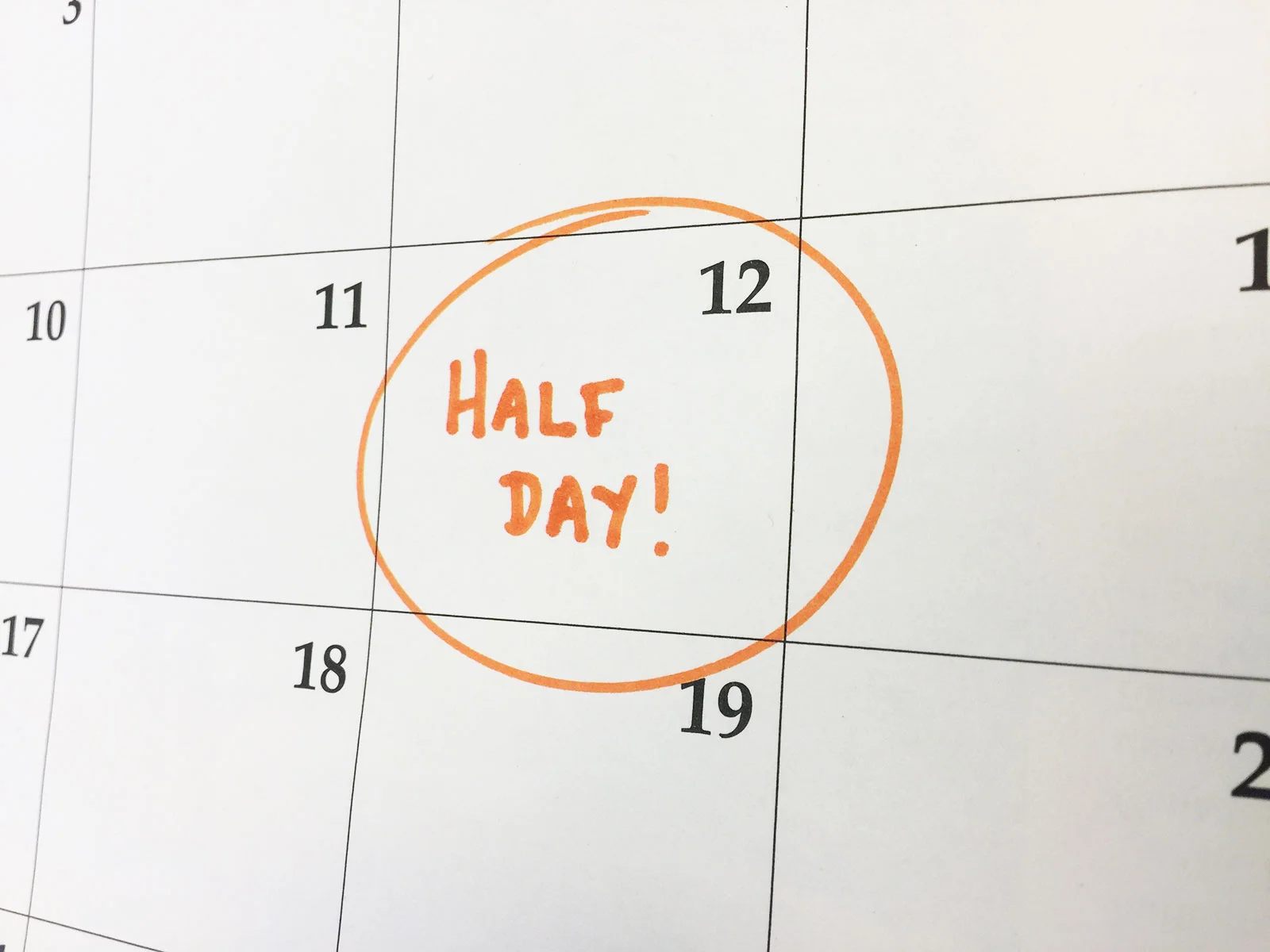 Half Day: Professional Development