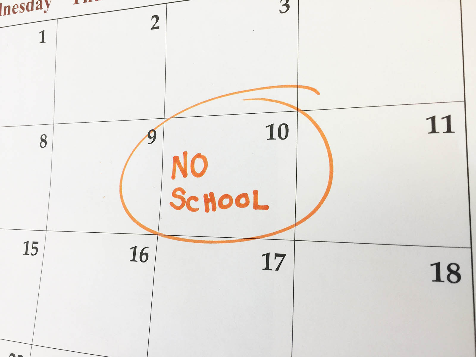 No School: Veterans Day