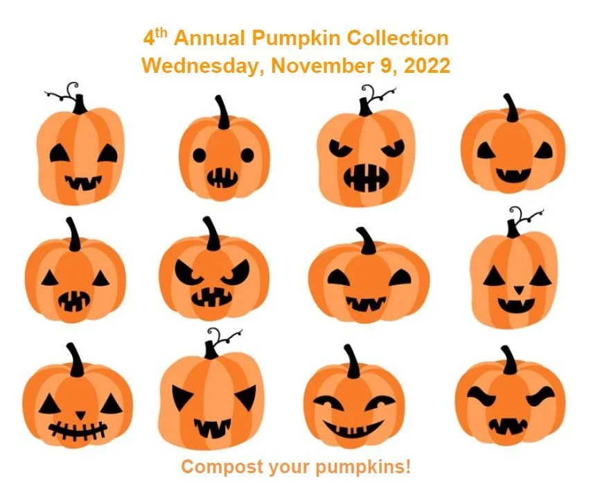 4th Annual Pumpkin Drop