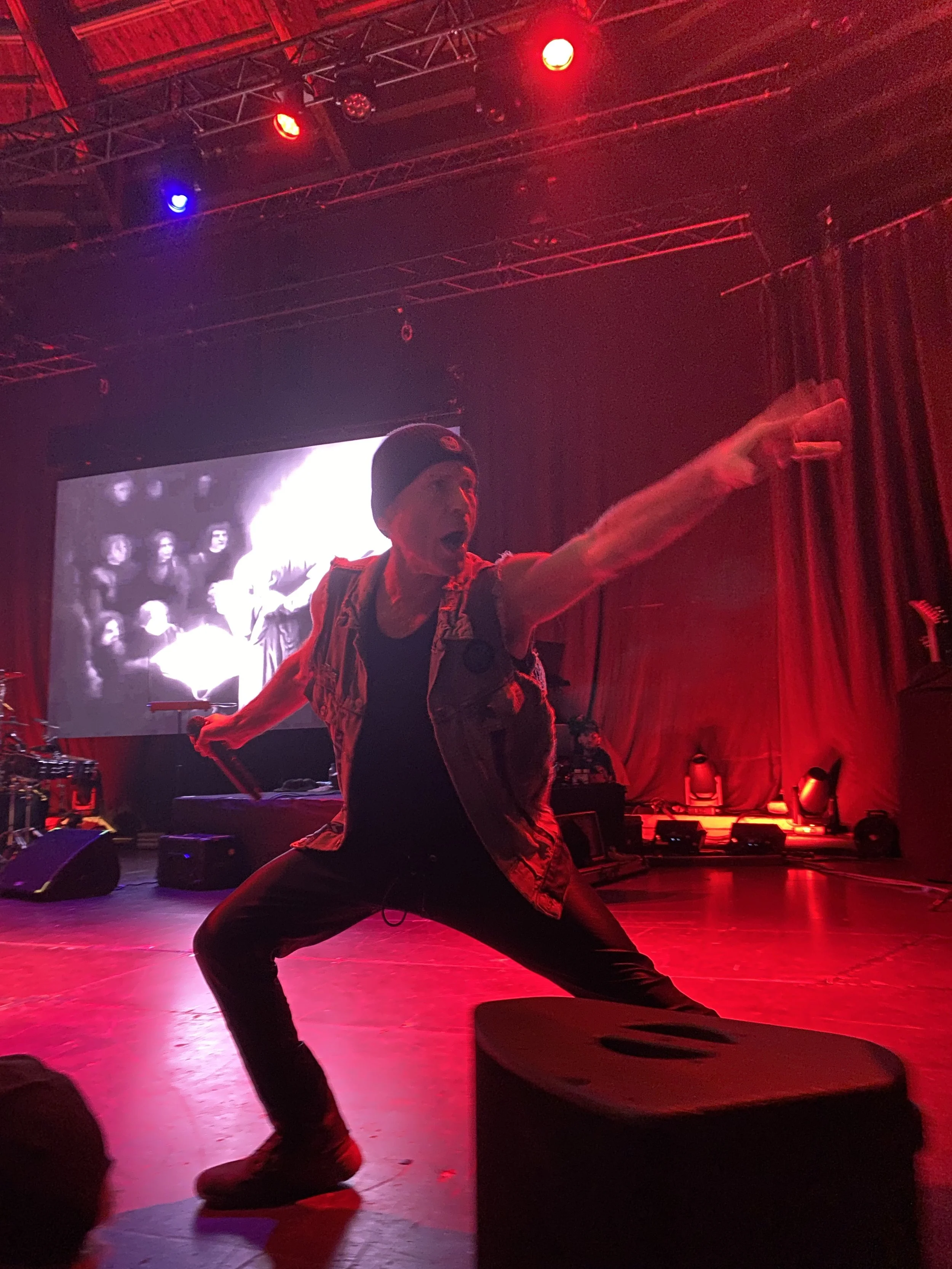 Bruce und die Bongos: wir gehen ins Kino mit Mr. Dickinson und dem Alraunen-Projekt