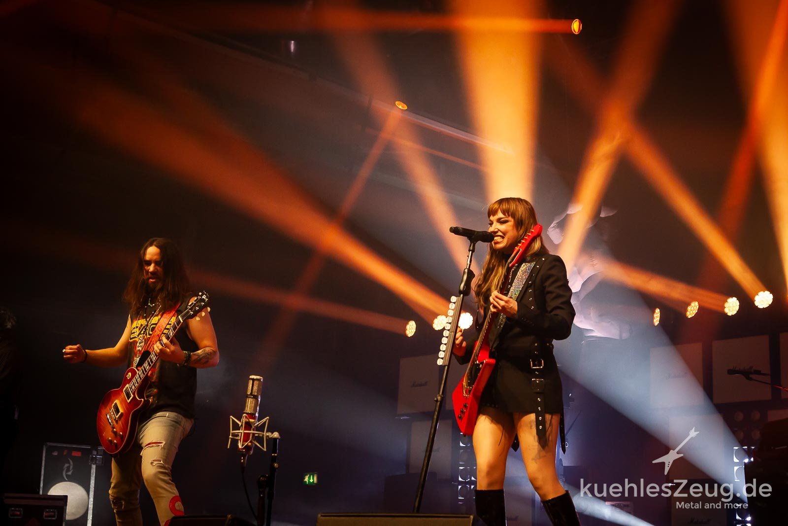 Lzzy und die Gipfelstürmer: wir steigen auf mit Halestorm und Bloodywood