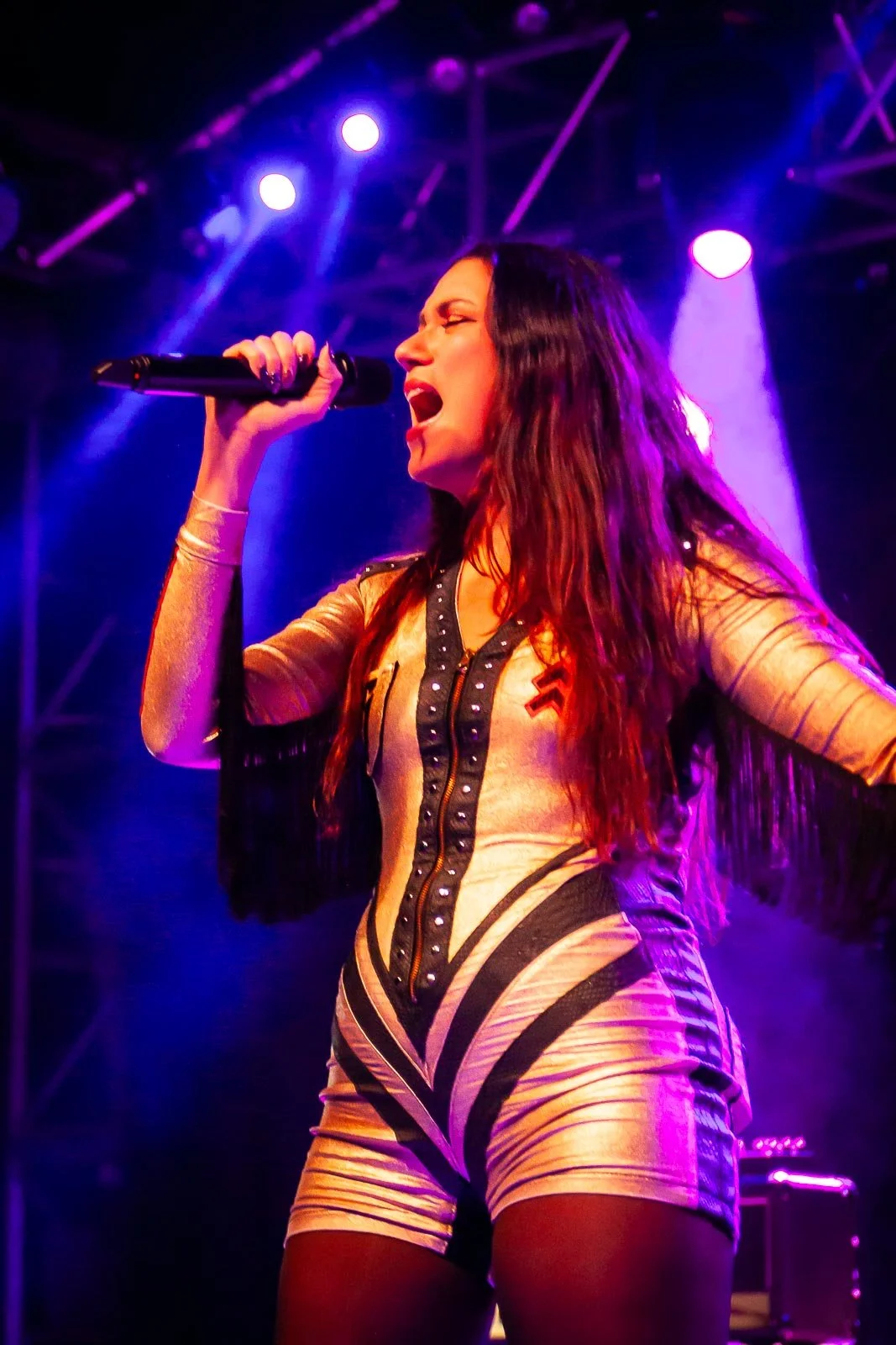 Bergziegen auf dem Zebrastreifen: wir schlängeln uns ran mit The Gems, King Zebra und Mia Karlsson