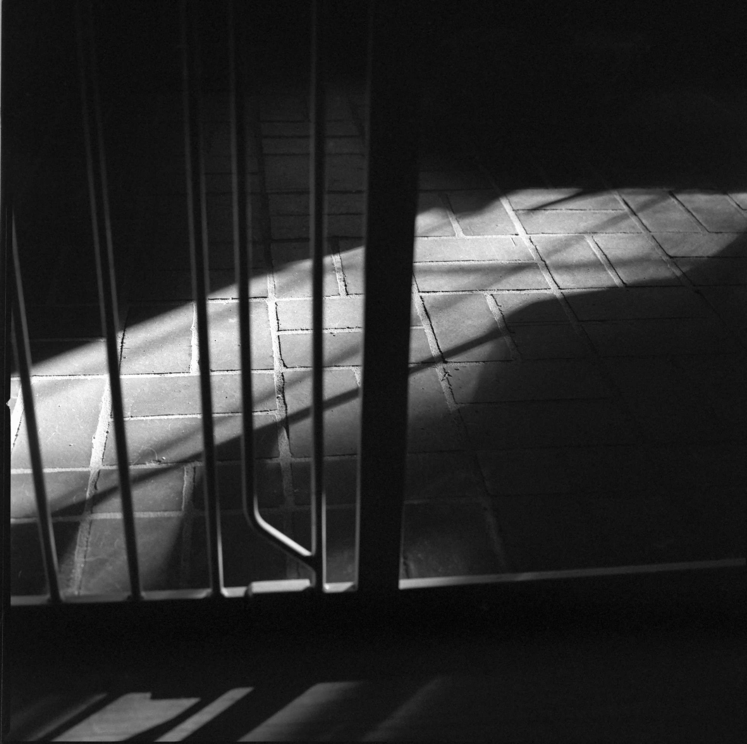 rich_046 copy 3.jpg