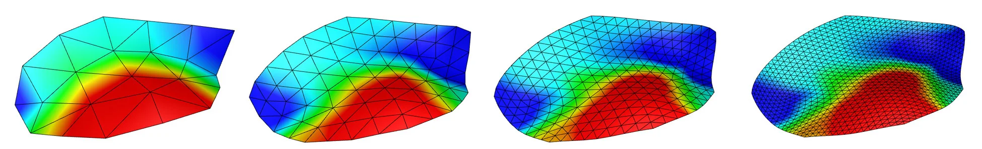 Reconstruction of an ovine anterior mitral valve leaflet from biplane videofluoroscopy using a custom triangular subdivison algorithm. Shown are maximum principle strains at peak systole (0-blue to 10%-red strain). 