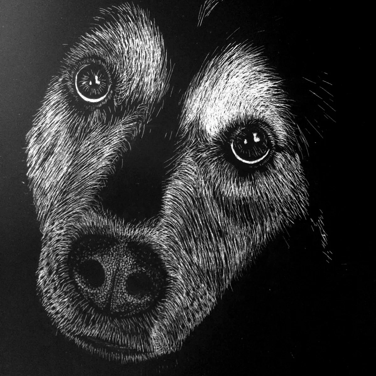 dog-scratchboard.jpg