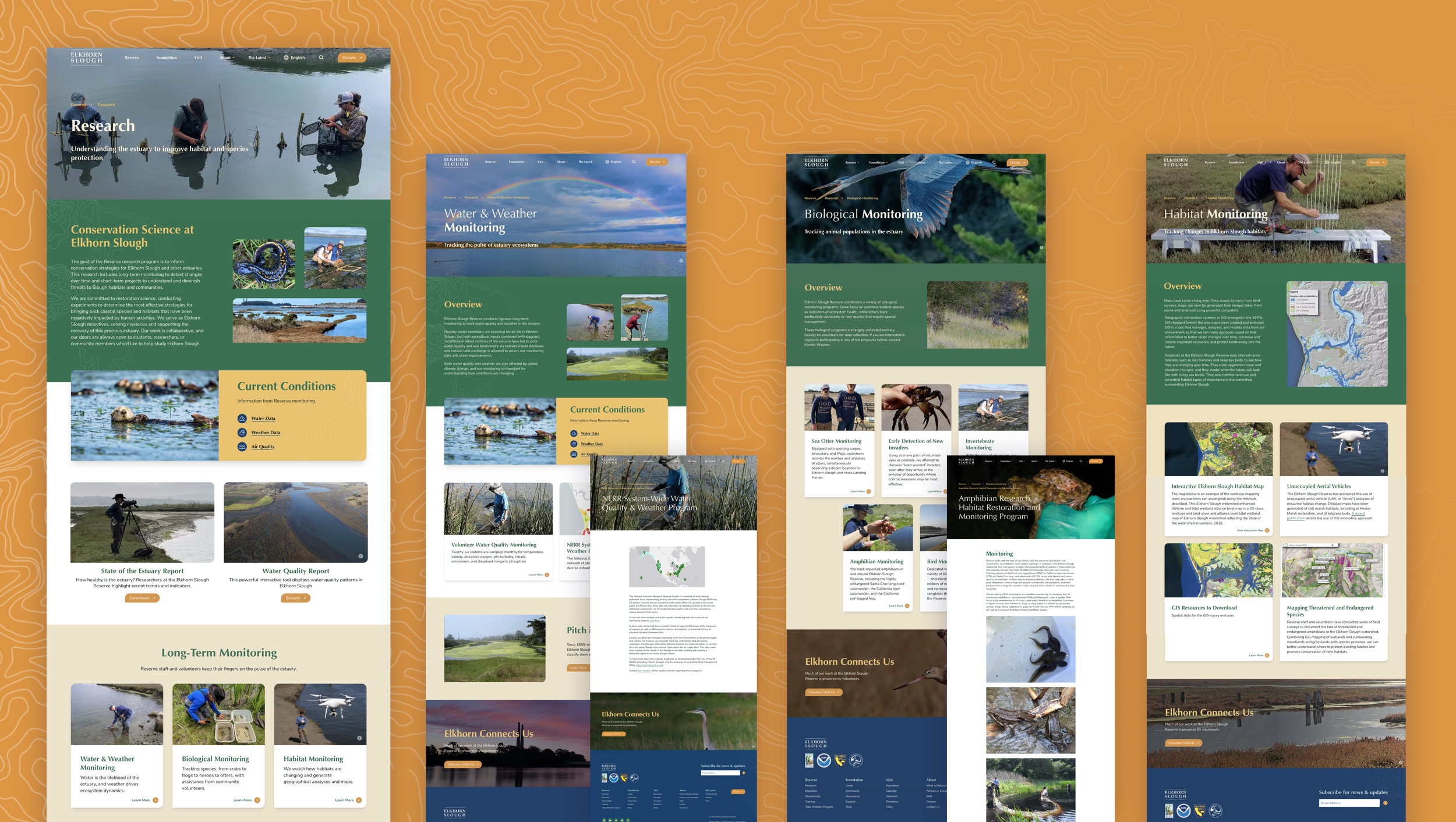 Elkhorn-Case-Study-Research.png