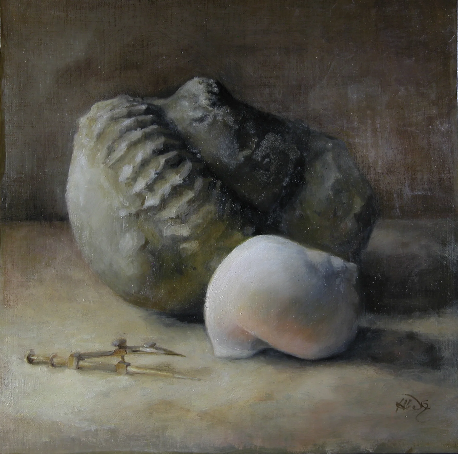 Fossil, Shell, Compass