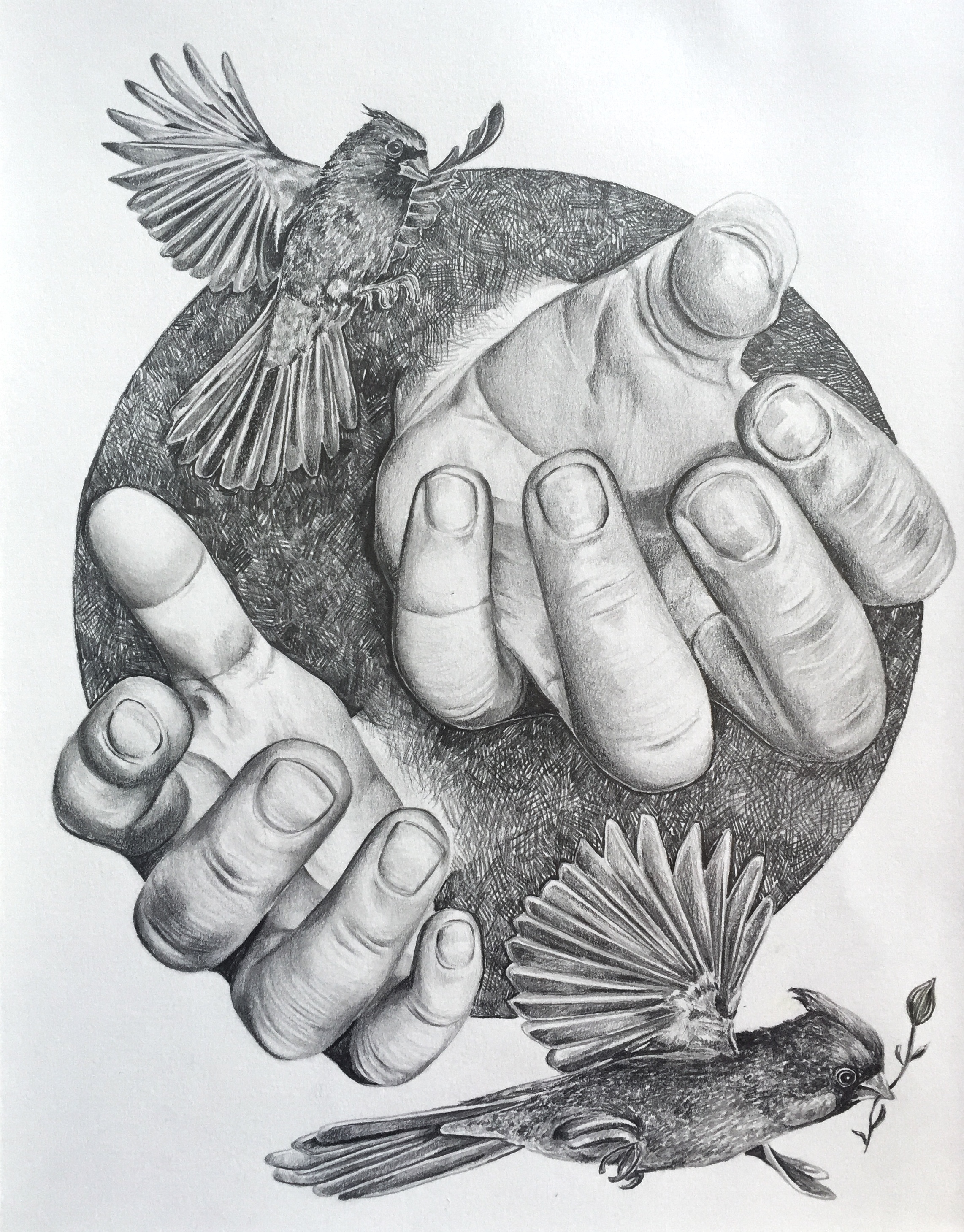 image3 (2).JPG