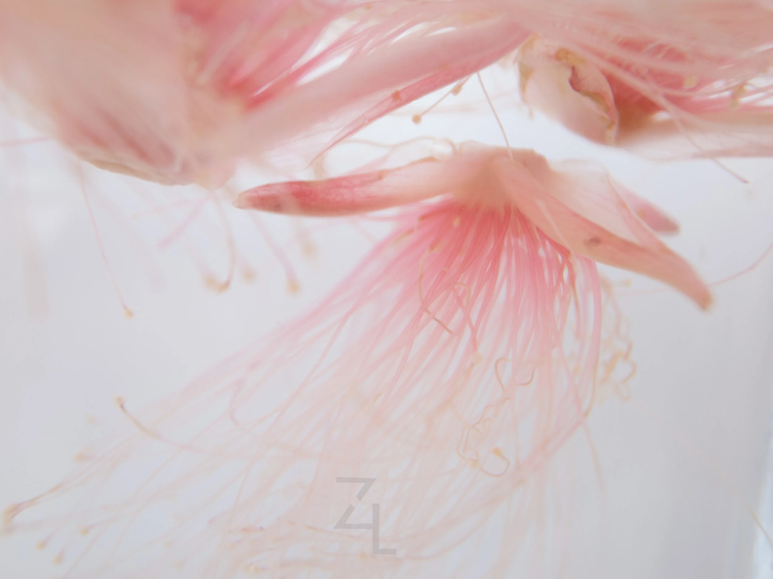R1260089.jpg