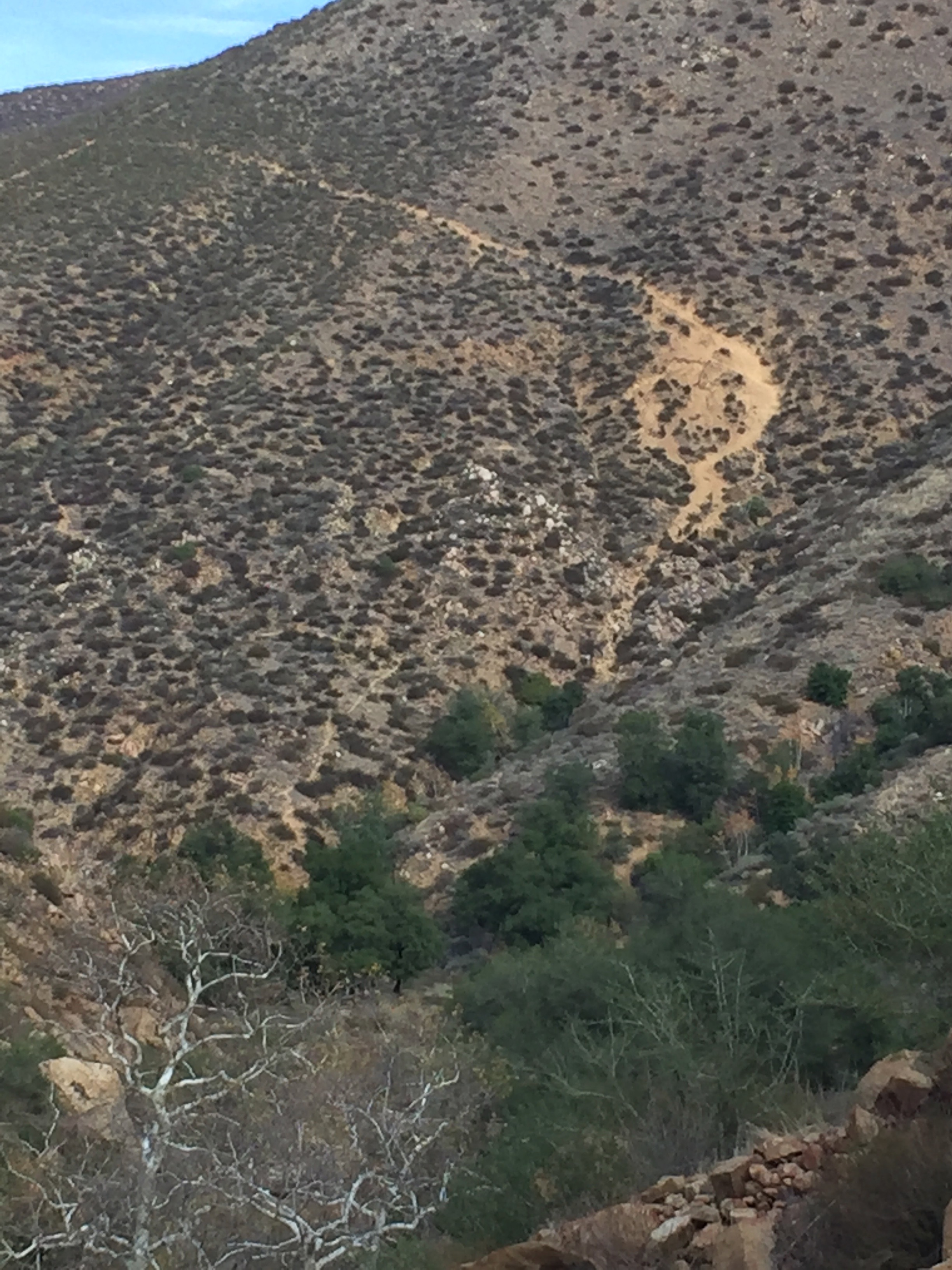Yes, that dirt trail is how we had to go down and back up...