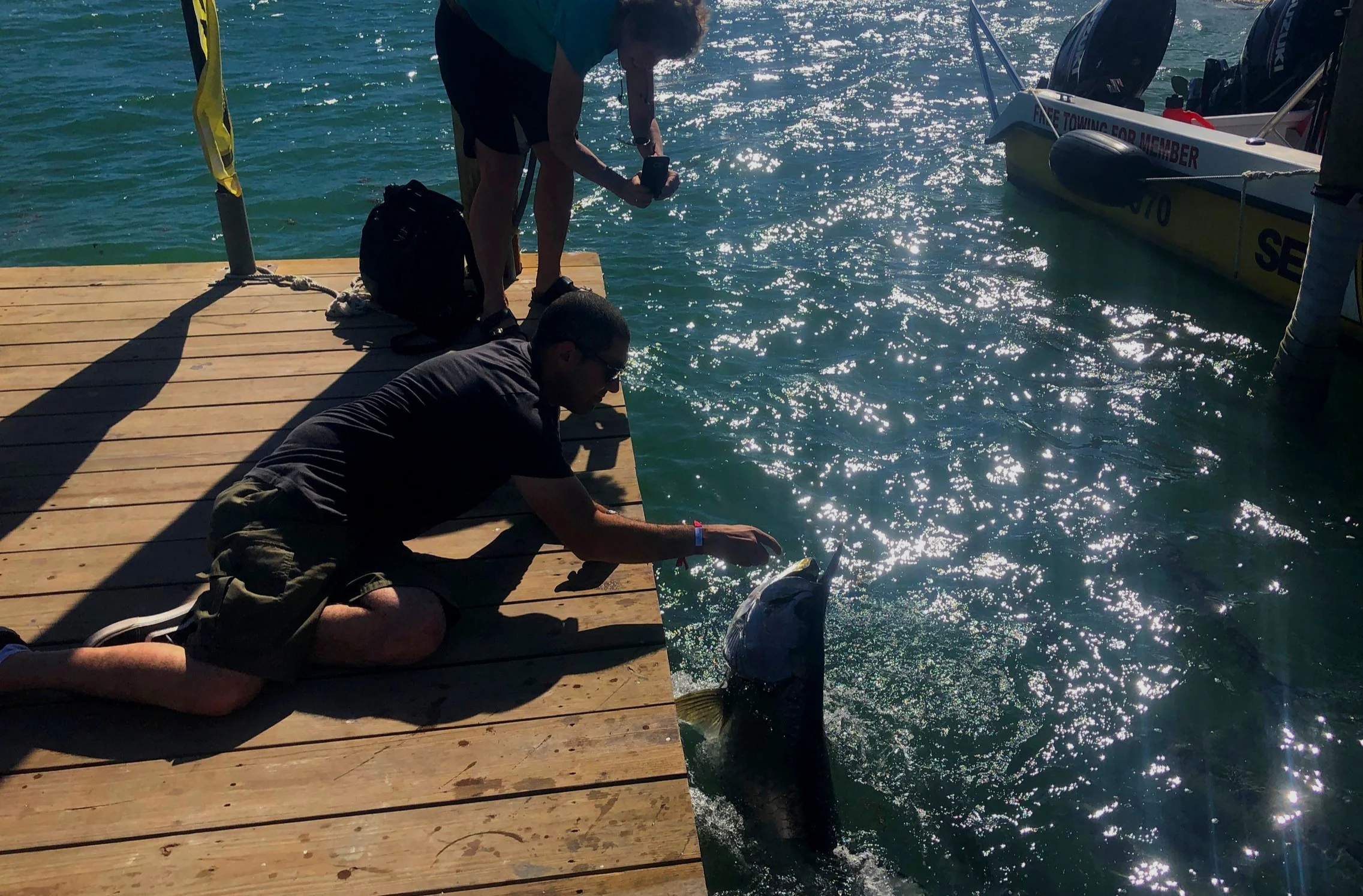Feeding tarpon at Robbie’s Marina.