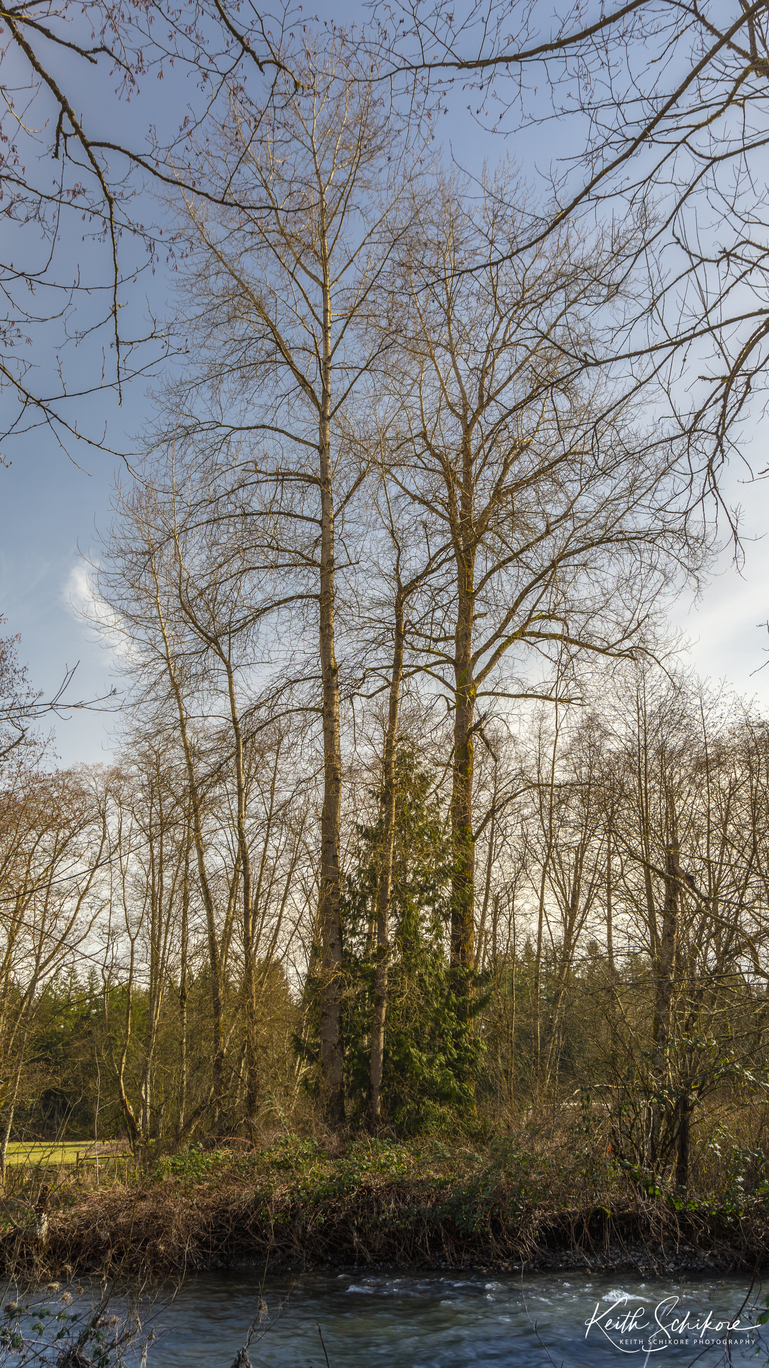 _64A9832-HDR.jpg